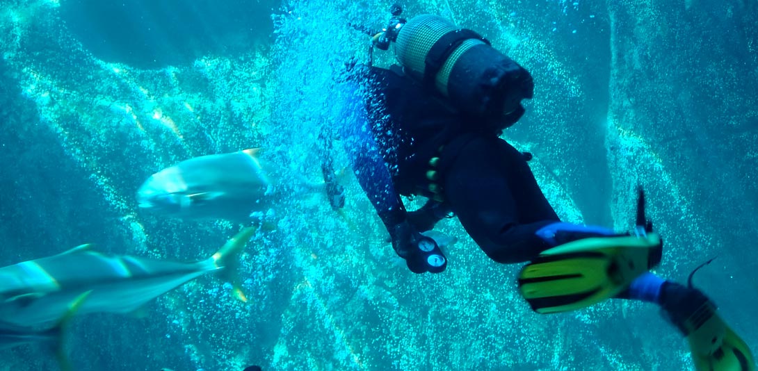 plongée sous-marine